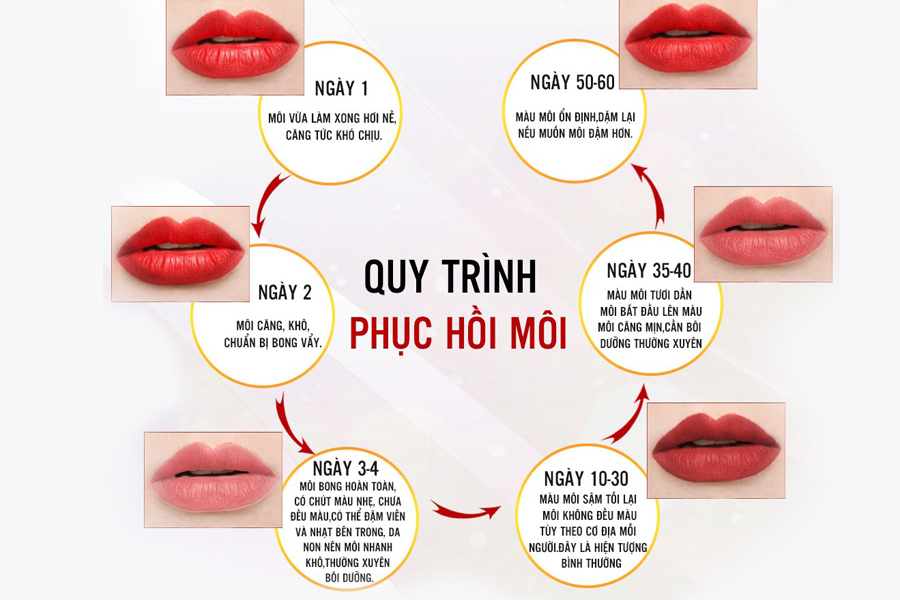 Quy trình phục hồi môi sau phun xăm